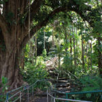 Wailuku River State Park