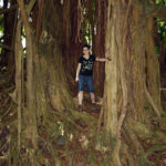 Playing in the Banyan Trees