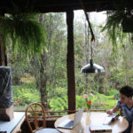 Dining Area in the Treehouse