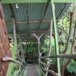 Stairs to the Treehouse