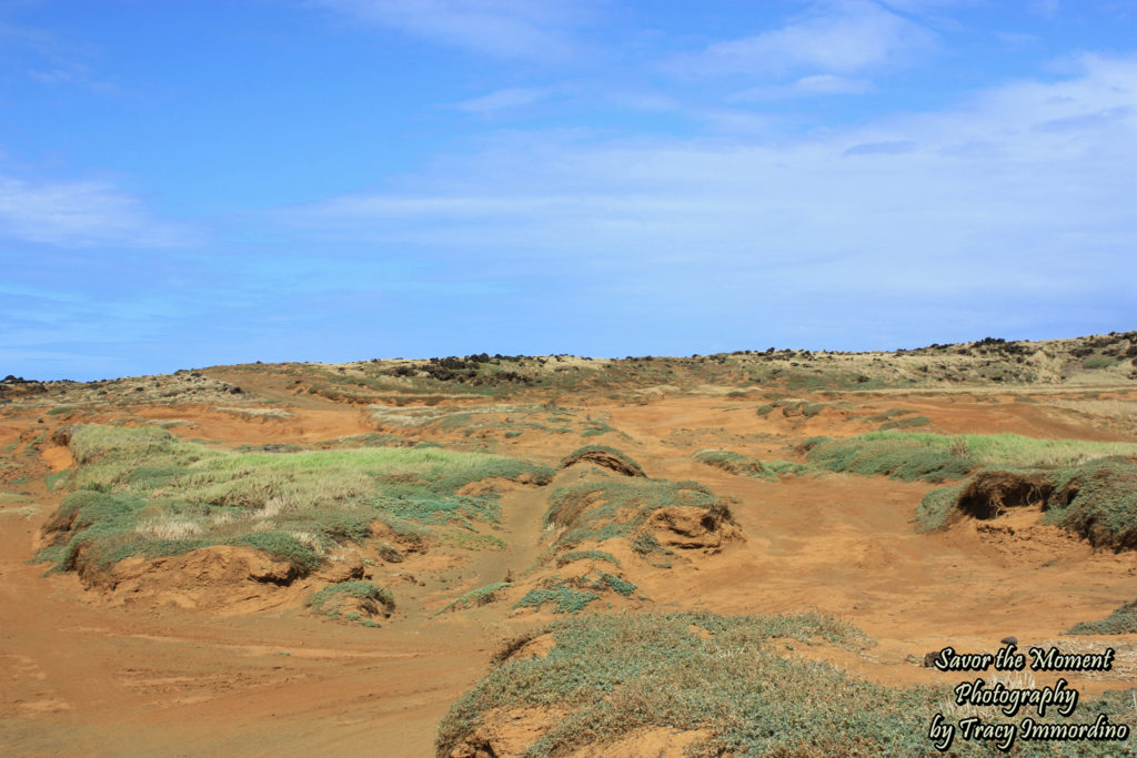 Why you shouldn't drive to the Green Sand Beach