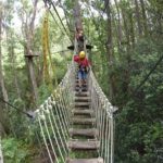 Sky bridge at Kohala Zipline