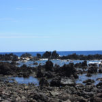 Laupahoehoe Point