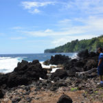 Hamakua Coastline at Laupahoehoe Point