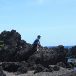 Watching the Waves at Laupahoehoe Point