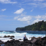 Looking for wildlife at Laupahoehoe Point