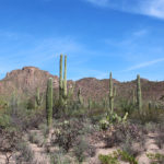 Desert Discovery Nature Trail