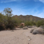 Javelina Wash Trail