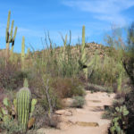 Valley View Overlook Trail