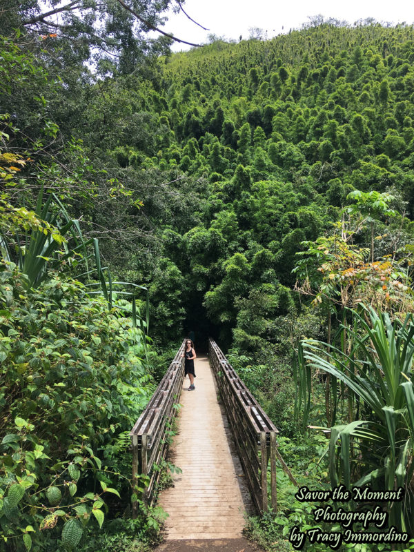 Hiking the Pipiwai Trail to the Makahiku and Waimoku Falls - Savor the ...