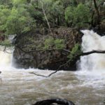 Twin Falls, Maui