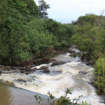 Rushing Stream on the Road to Hana