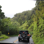 In Line on the Road to Hana