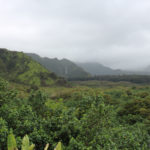 Wailua Overlook