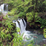 Pua’a Ka’a State Wayside Park