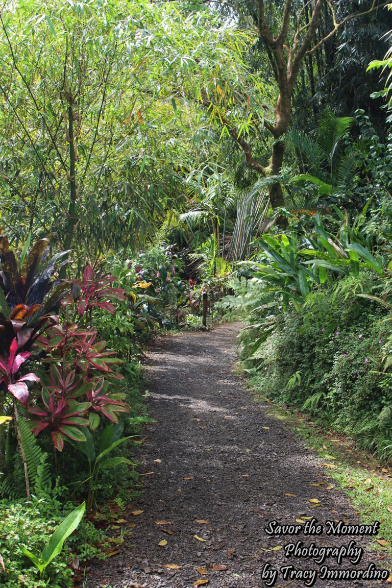 The Garden of Eden Arboretum - Savor the Moment Photography