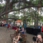 The Largest Banyan Tree in the United States