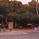 Banyan Tree at Lahaina