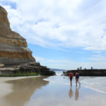 The Beach at Torrey Pines State Natural Reserve