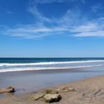 The Beach at Torrey Pines State Natural Reserve