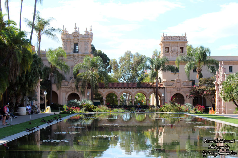 Art and Architecture in Balboa Park - Savor the Moment Photography