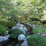 The Japanese Friendship Garden