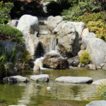 The Japanese Friendship Garden