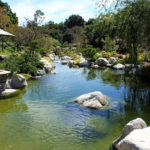 The Japanese Friendship Garden