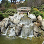 The Japanese Friendship Garden