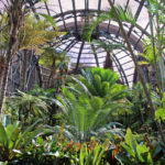 The Botanical Building