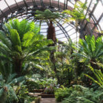 The Botanical Building