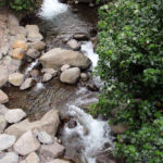 Iao Stream