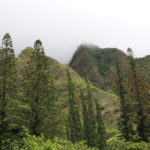 Kepaniwai Park in Maui