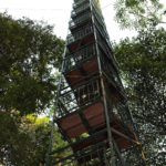 Canopy Tower in the Amazon Rainforest