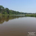 An Oxbow Lake in the Amazon Rainforest