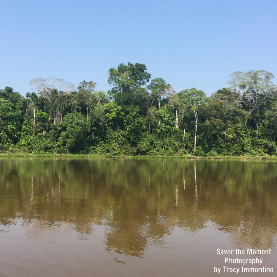 Hiking Through the Amazon Rainforest to Oxbow Lake - Savor the Moment ...