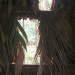 Blind At Mammal Clay Lick in the Amazon Rainforest