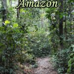 Hiking in the Amazon