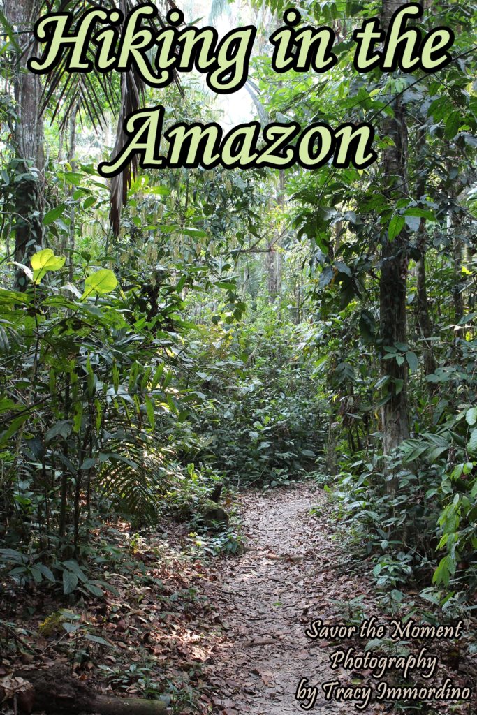 Hiking in the Amazon