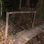 Hiking in the Amazon Rainforest, Peru