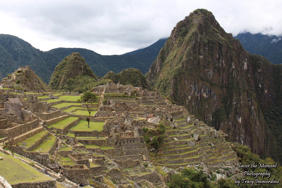 Machu Picchu - Savor the Moment Photography