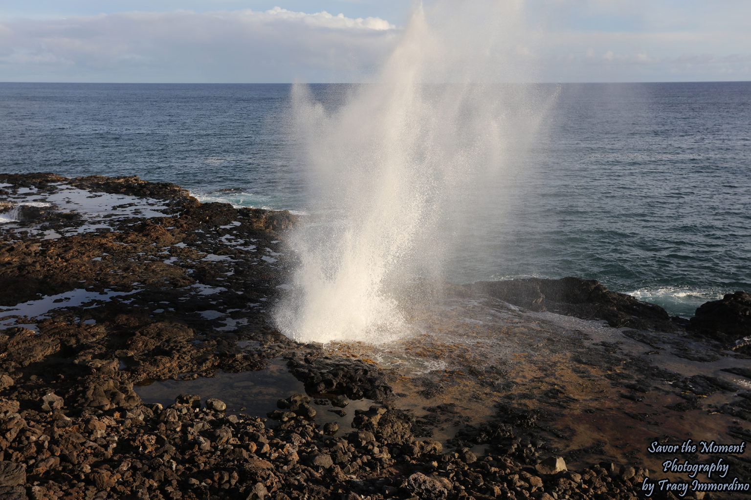 Visiting Spouting Horn Park - Savor the Moment Photography