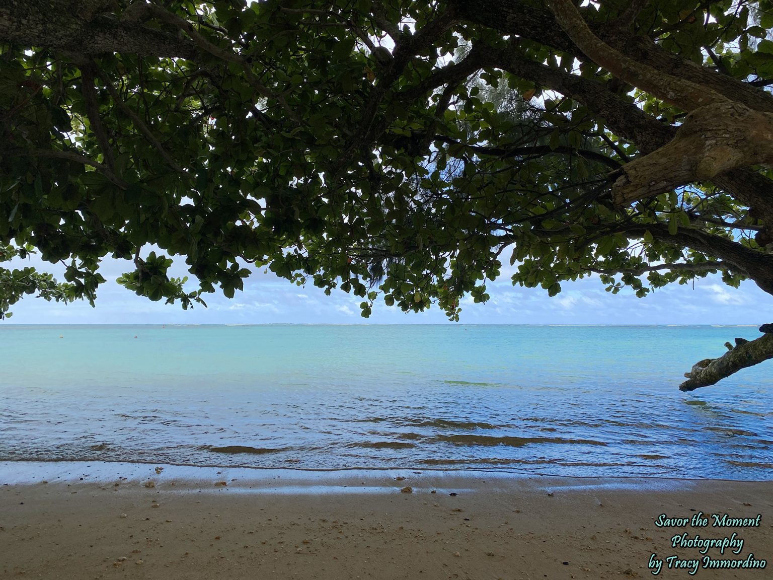 Anini Beach on Kauai's North Shore - Savor the Moment Photography