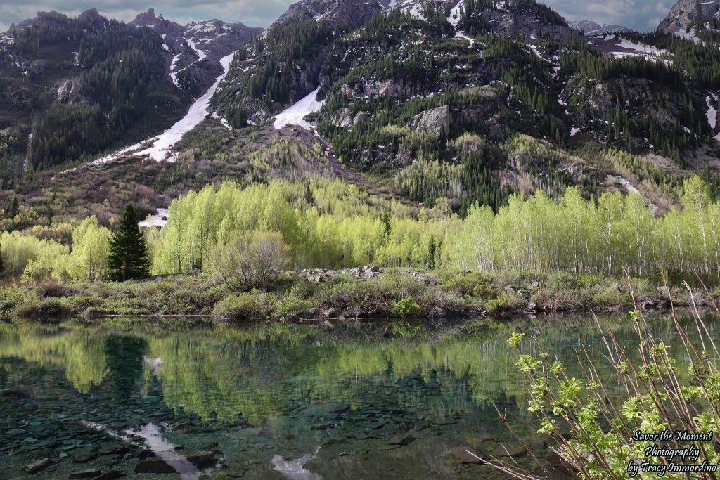 Beaver Pond