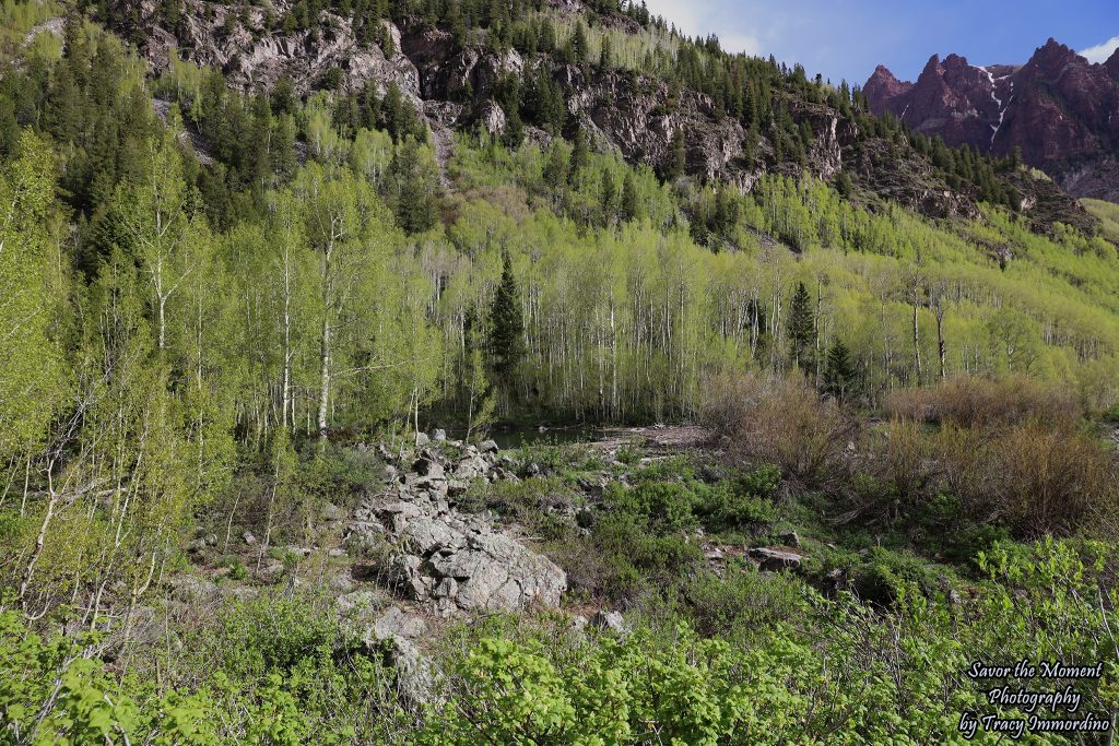 Maroon - Snowmass Trail