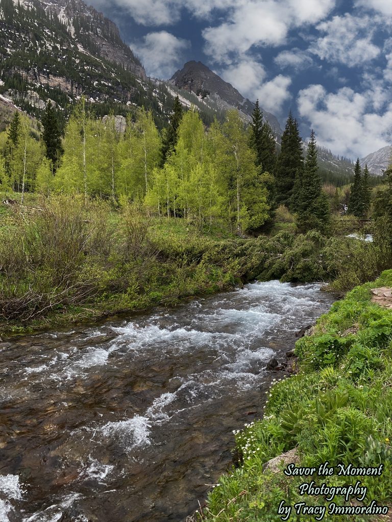 Rushing stream on the Scenic Loop Trail