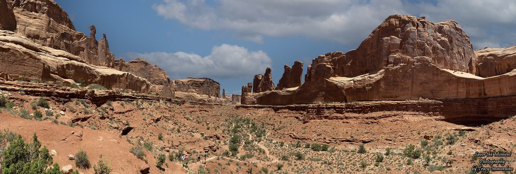 Park Avenue Overlook