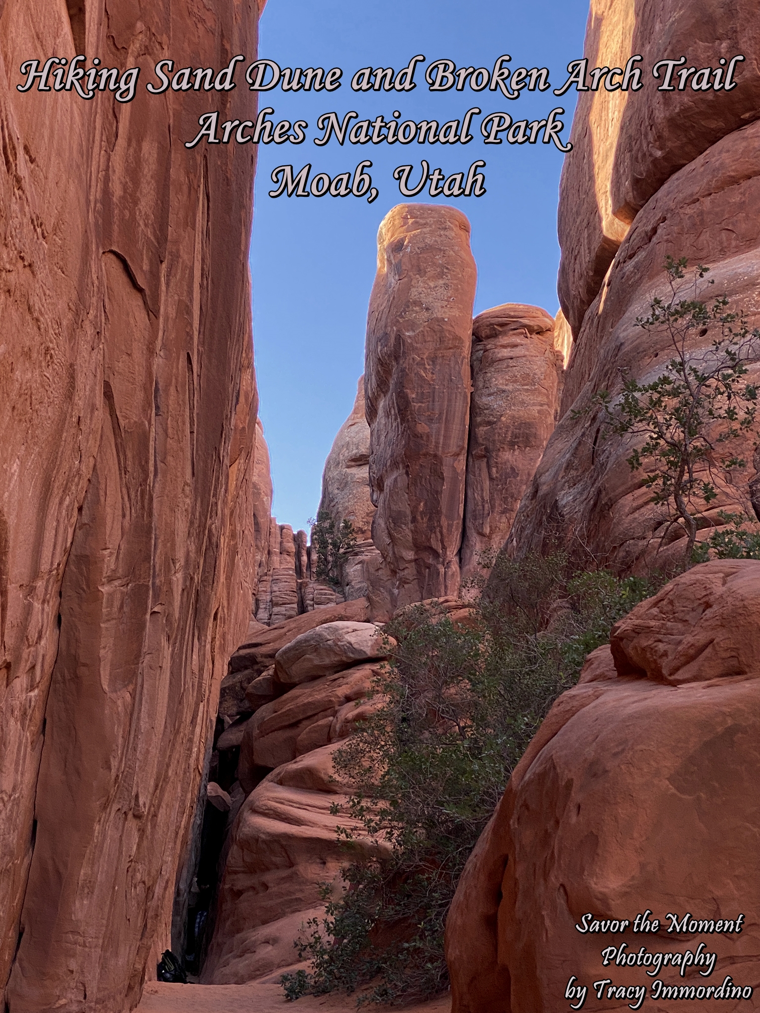 Sand Dune Arch Trail